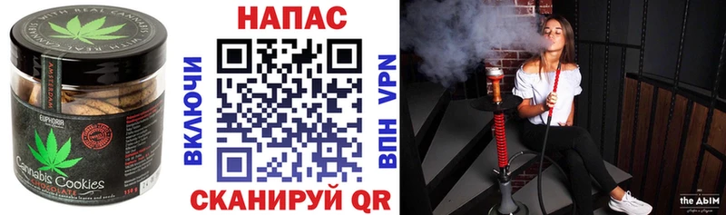Купить закладки  Светлогорск  Canna-Cookies конопля 