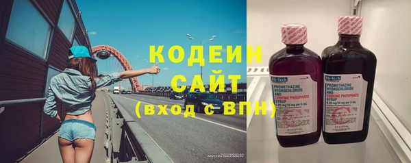 спиды Бородино