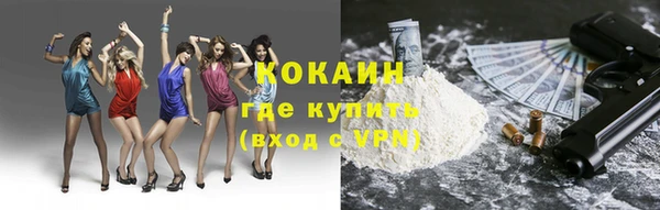 спиды Бородино