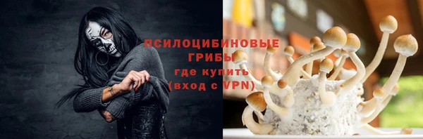 спиды Бородино