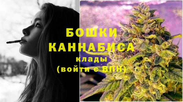 спиды Бородино