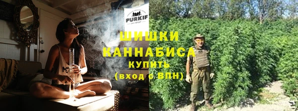 спиды Бородино
