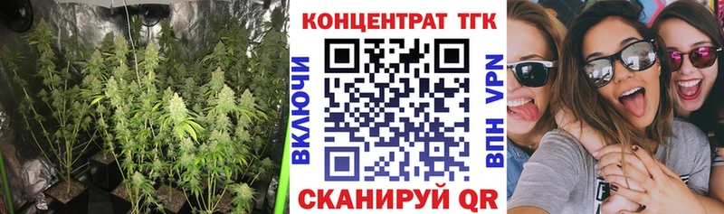 Дистиллят ТГК THC oil Купить Светлогорск