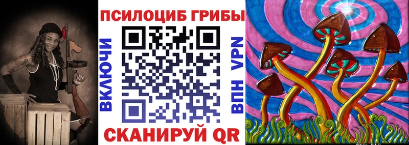 Купить где  Светлогорск  Псилоцибиновые грибы мицелий 